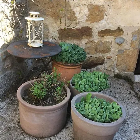 Σπίτι διακοπών Les Terrasses De Carennac